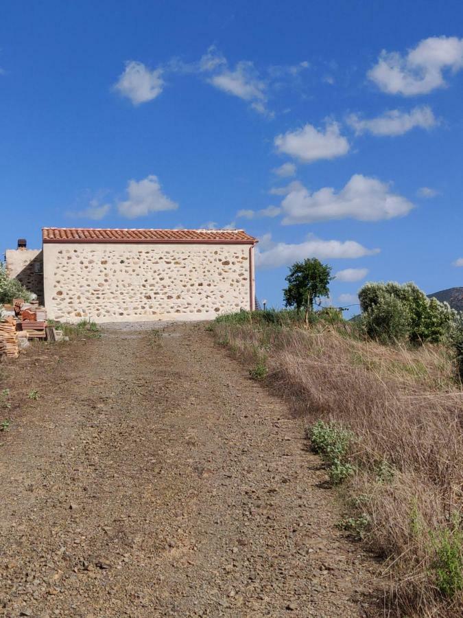 הוילה Villamassargia Casa Pinella מראה חיצוני תמונה
