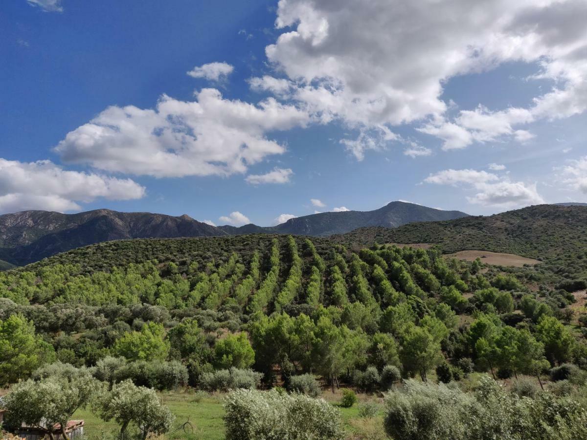 הוילה Villamassargia Casa Pinella מראה חיצוני תמונה
